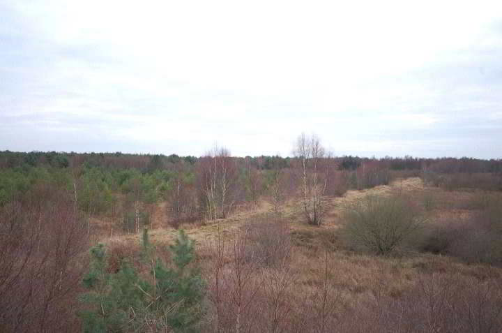 Lauenbrücker Moor im Landkreis Rotenburg Wümme Niedersachsen
